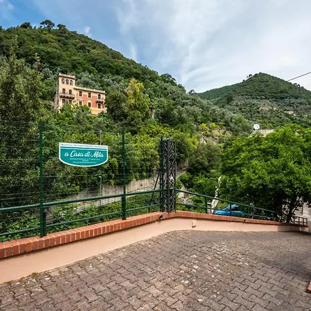 A Casa Di Mila Bed & Breakfast